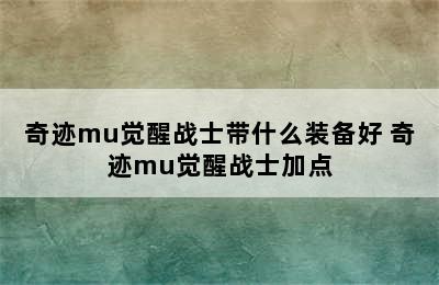 奇迹mu觉醒战士带什么装备好 奇迹mu觉醒战士加点